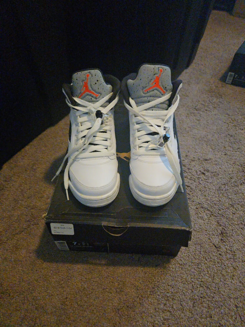 Air Jordan 5